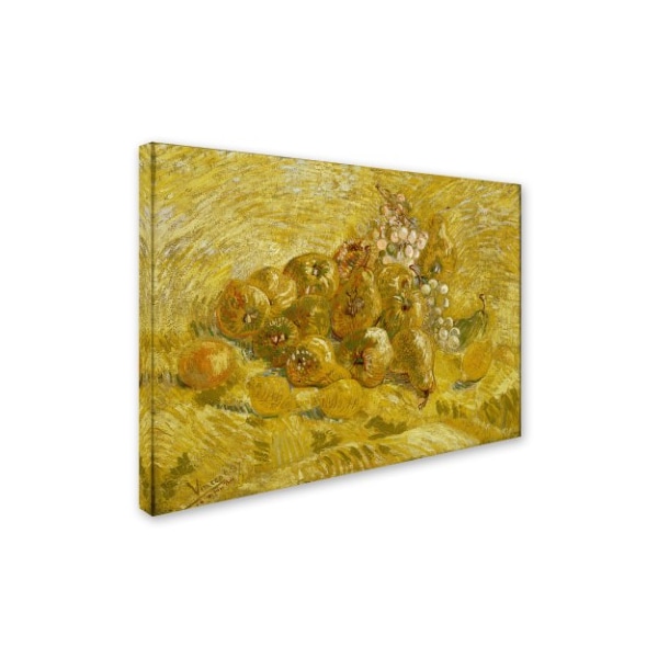 Van Gogh 'Quinces Lemons Pears And Grapes' Canvas Art,14x19